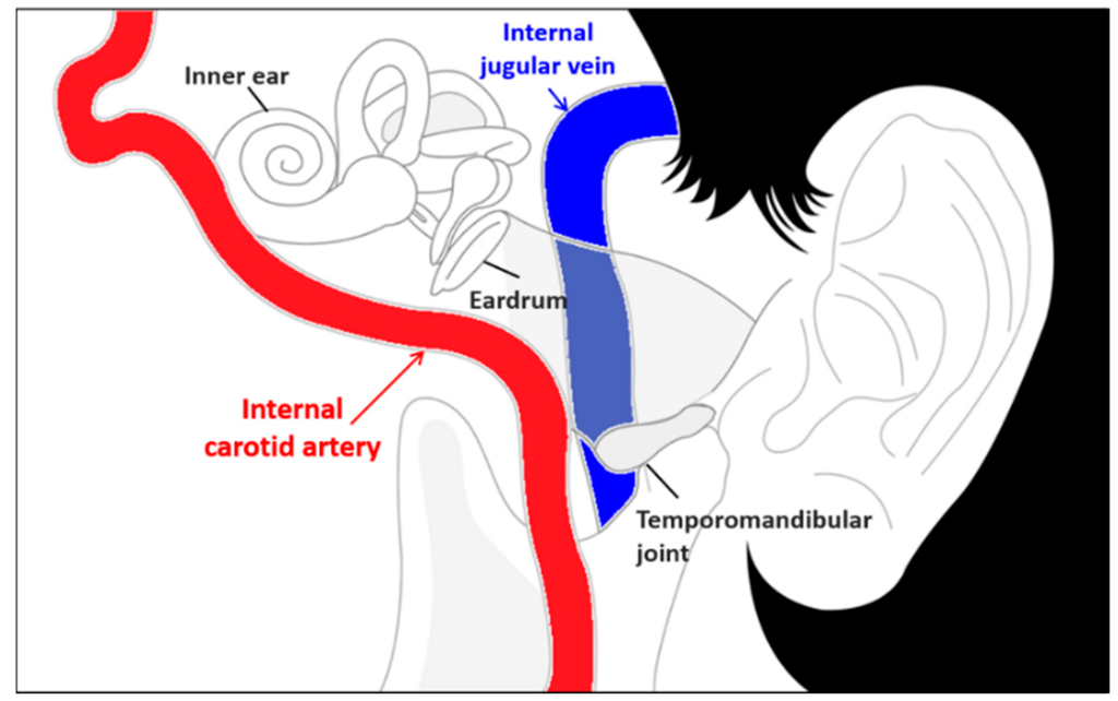 Ear Pulse